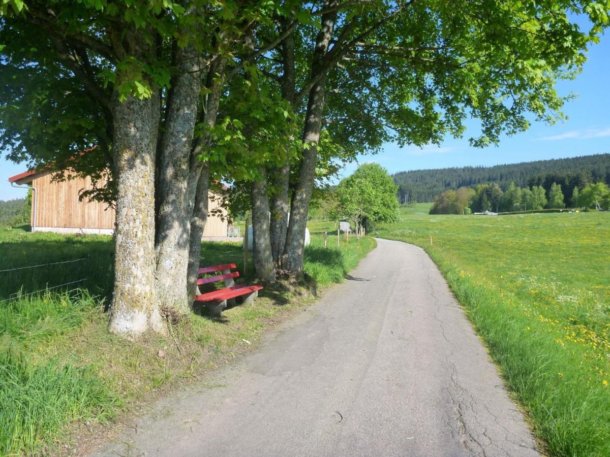 Gästehaus Hundelbach Lenzkirch Exterior foto